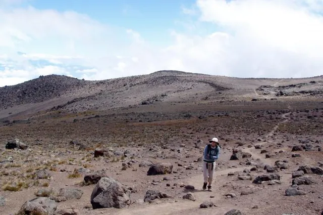 You can see the extent of the neverending paths in this shot