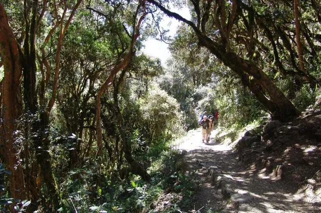 Some tree cover along the way, but the trekking is mostly in the open