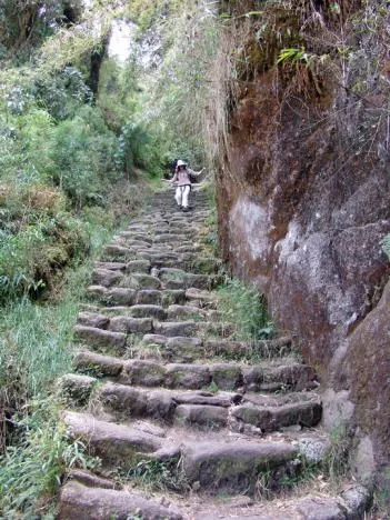 Some steep steps on the last part of this trail