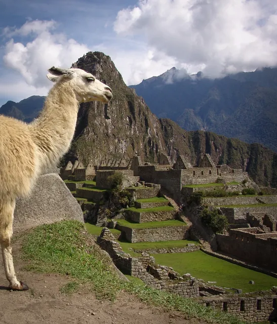 Machu Picchu — photograph 12