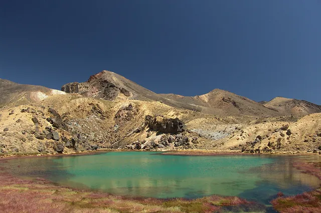 Fantastic shot of red grass in the Emerald Lake - reason enough to buy a polarising lens for your camera