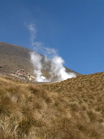More steam vents