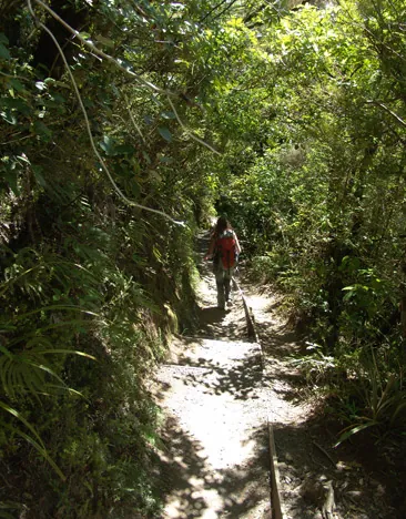 For the last 45mins - 1 hour you enter the forest section >> longer than it seems!!