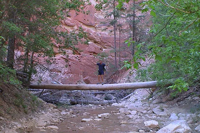 Zion National Park — photograph 6