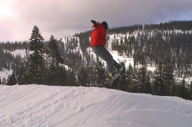 Vote's out whether Tim landed this one
