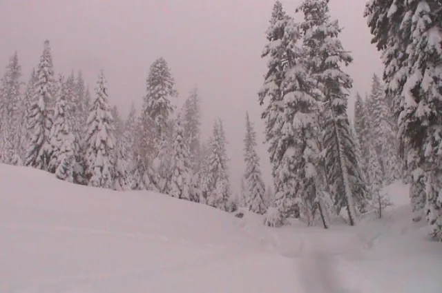 Powder-central in Hobbit Land