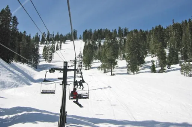 Looking up from the Ellis Chair