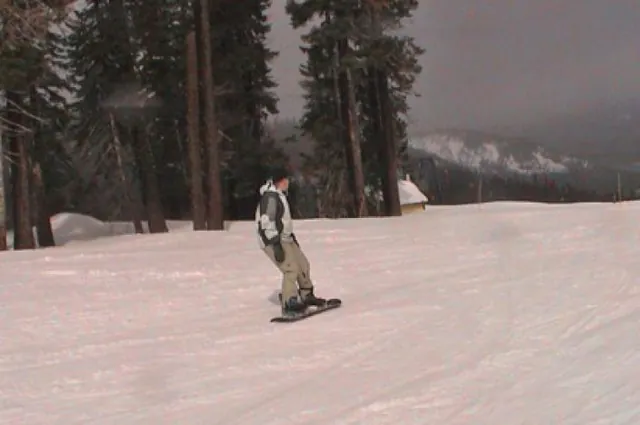 Stevo cruisin