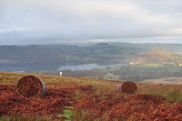 Bracken round bales