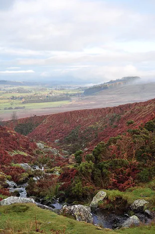 Classic damp winter fell colours