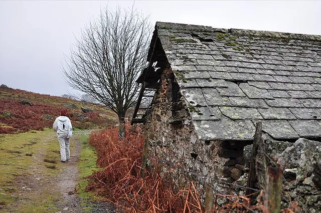 Lots of run-down barns along the way