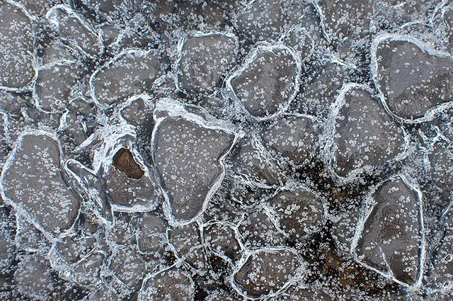 Air bubbles trapped in the ice