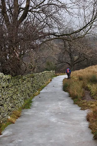 I gleefully skated up this icy path, but the passers by didn't want to risk it