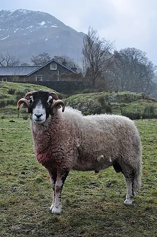 Ullswater — photograph 55