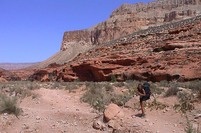 You get a much better sense of the canyon's enormity down here