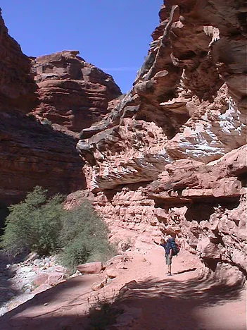 Havasu Falls — photograph 13