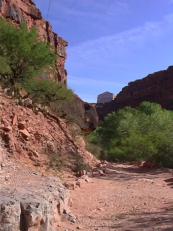 Looking back up the canyon. You can see the telephone line that runs down