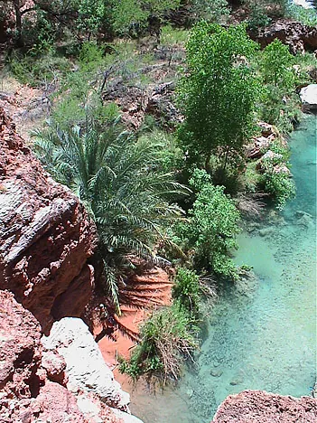 That'd be the blue-green waters they were referring to! Gorgeous