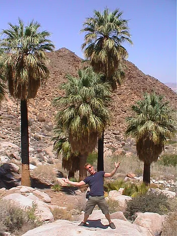 Joshua Tree National Park — photograph 7