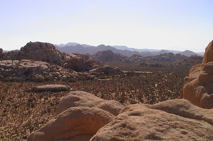 Joshua Tree National Park