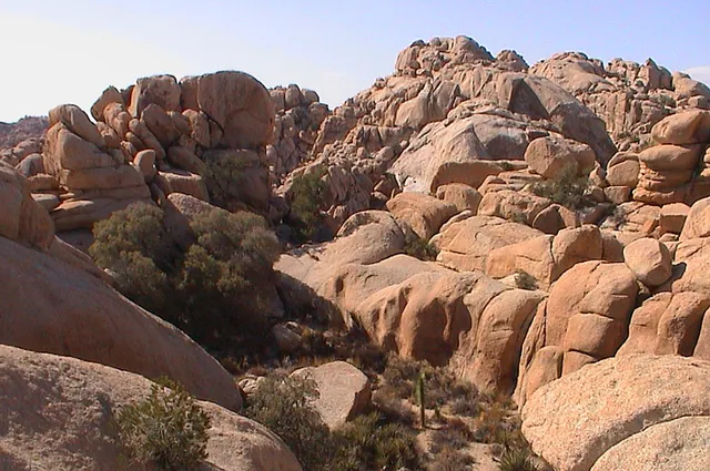 Joshua Tree National Park — photograph 12