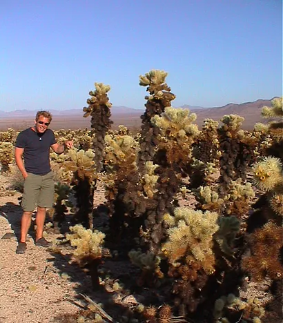 We reach the "Cholla Cactus Garden"