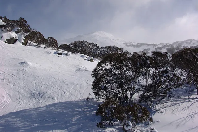 At the top, it's snow all around
