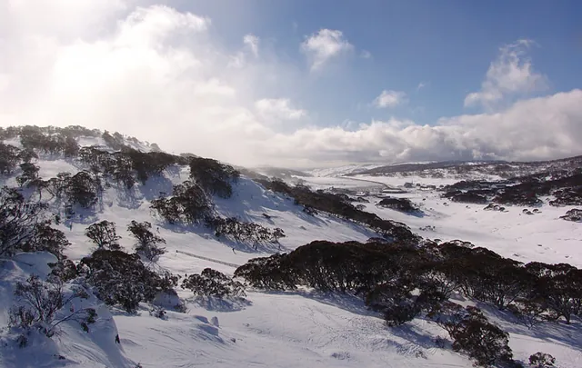 Perisher Blue — photograph 9