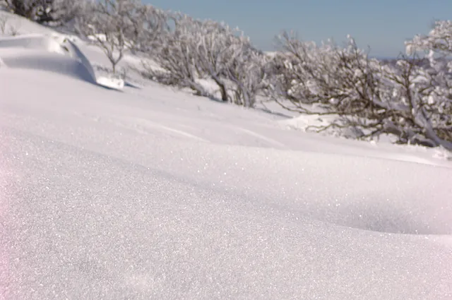 Perisher Blue — photograph 28