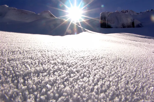 A carpet of snow crystals