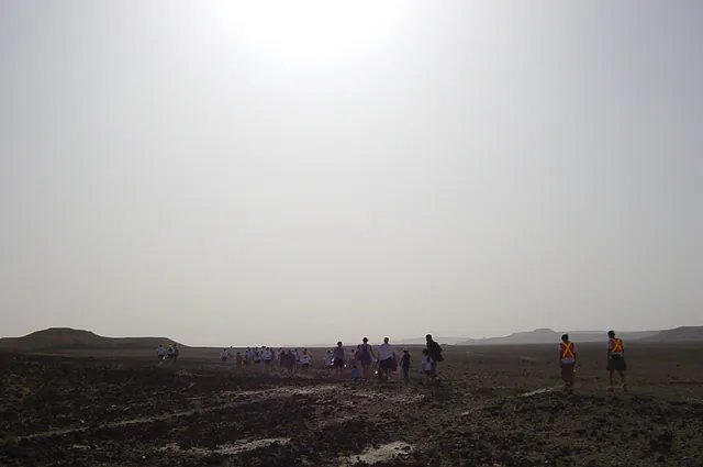The walkers head off into the searing heat. The *mad* runners take a different route