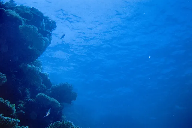 Most of the diving for the day would be coral shelves and tropical fish