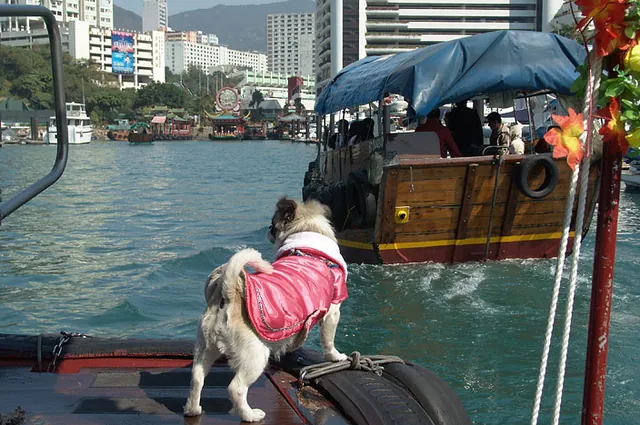 We rode one of the many tourist sampan boat trips with this girl at the helm