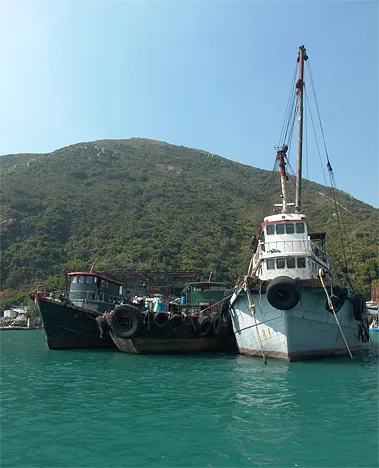 Lots of boats moored in the aquamarine channel which is used as a typhoon shelter