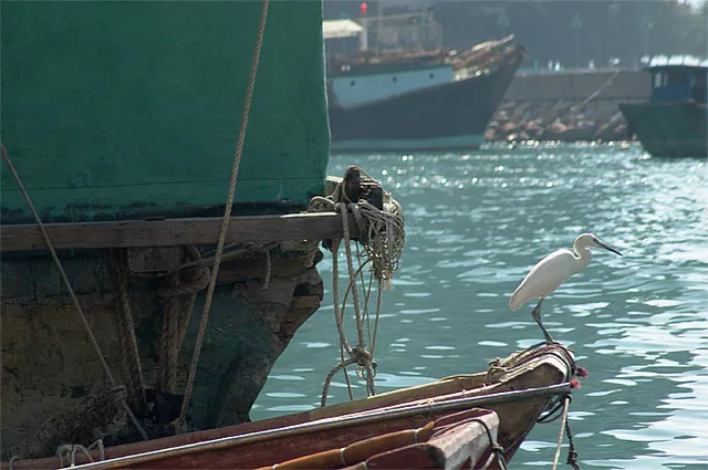 Hong Kong — photograph 20
