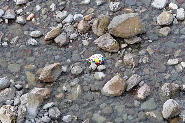 A helium balloon. Not sure how far it travelled to get here