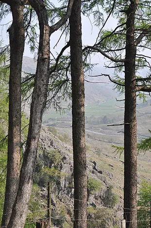 Scafell Pike — photograph 19