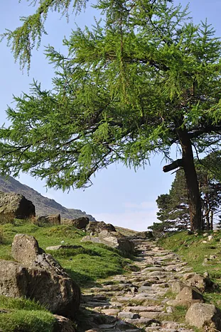 Scafell Pike — photograph 20
