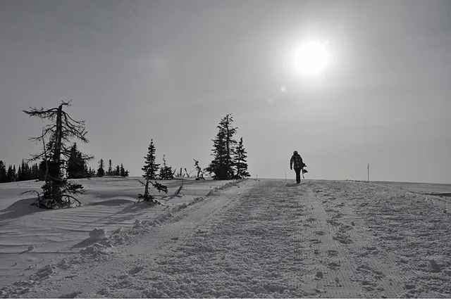The short hike in to the awesome cat skiing area of Cobabe Canyon