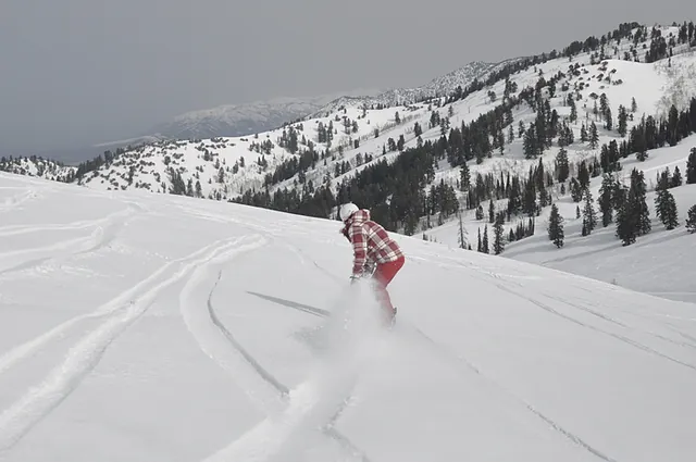 Gill going for a powder burn ... I couldn't catch her up, full speed gold star