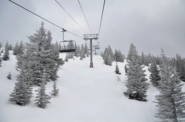 Frosty white out ... brilliant!