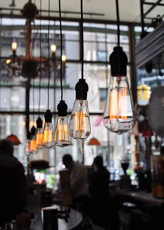 Posh $20 light bulbs ... nice touch
