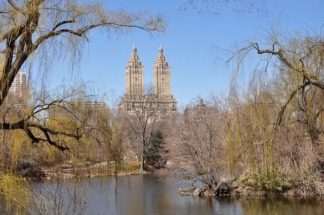 Central Park is huge. You can dismiss the idean of doing a leisurely circuit around it. Either do bottom to top and get the metro back or you'll probably just see the south end