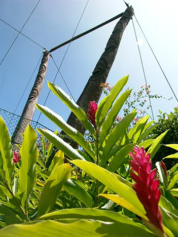 A suspension bridge leads over to the hotel's 9-hole golf course and over-water bungalows