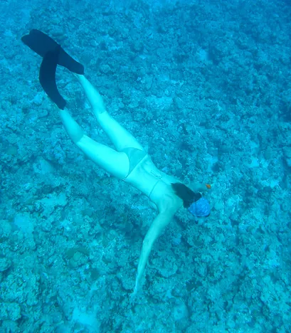 Gill free-diving for a closer look