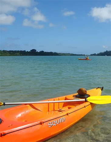 Vanuatu — photograph 14