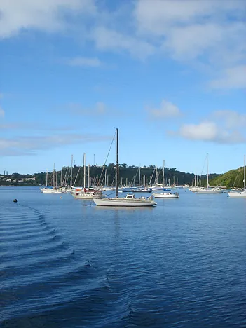 Vanuatu — photograph 22