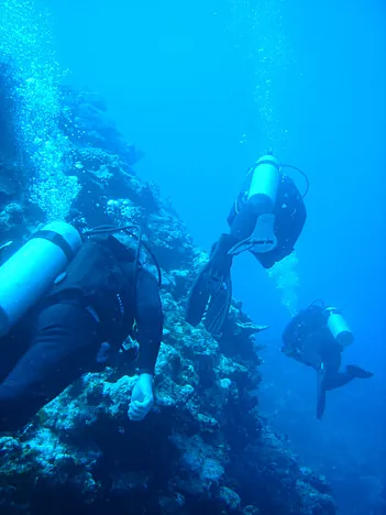 Down we go - lots of hard coral formations to see in Vanuatu