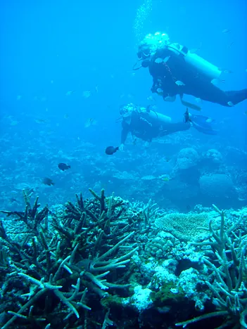 No rush on these dives - just cruise about looking in nooks and crannies
