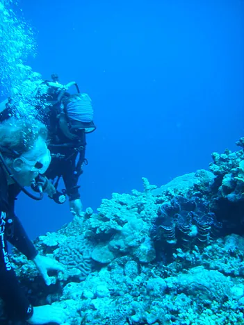 This is Colin the Clam - rescued from a market by Nautilus and relocated back on this dive site